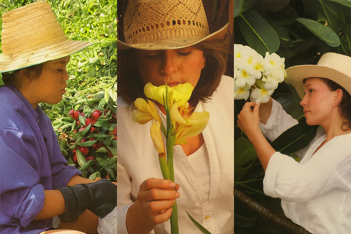 Gathering flowers and blossom by hand