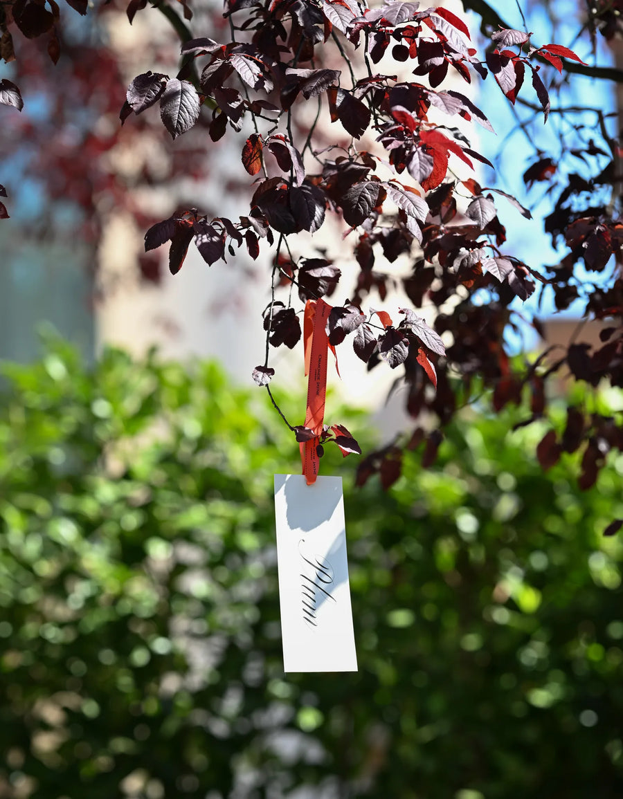 A plum tag tied in the tree