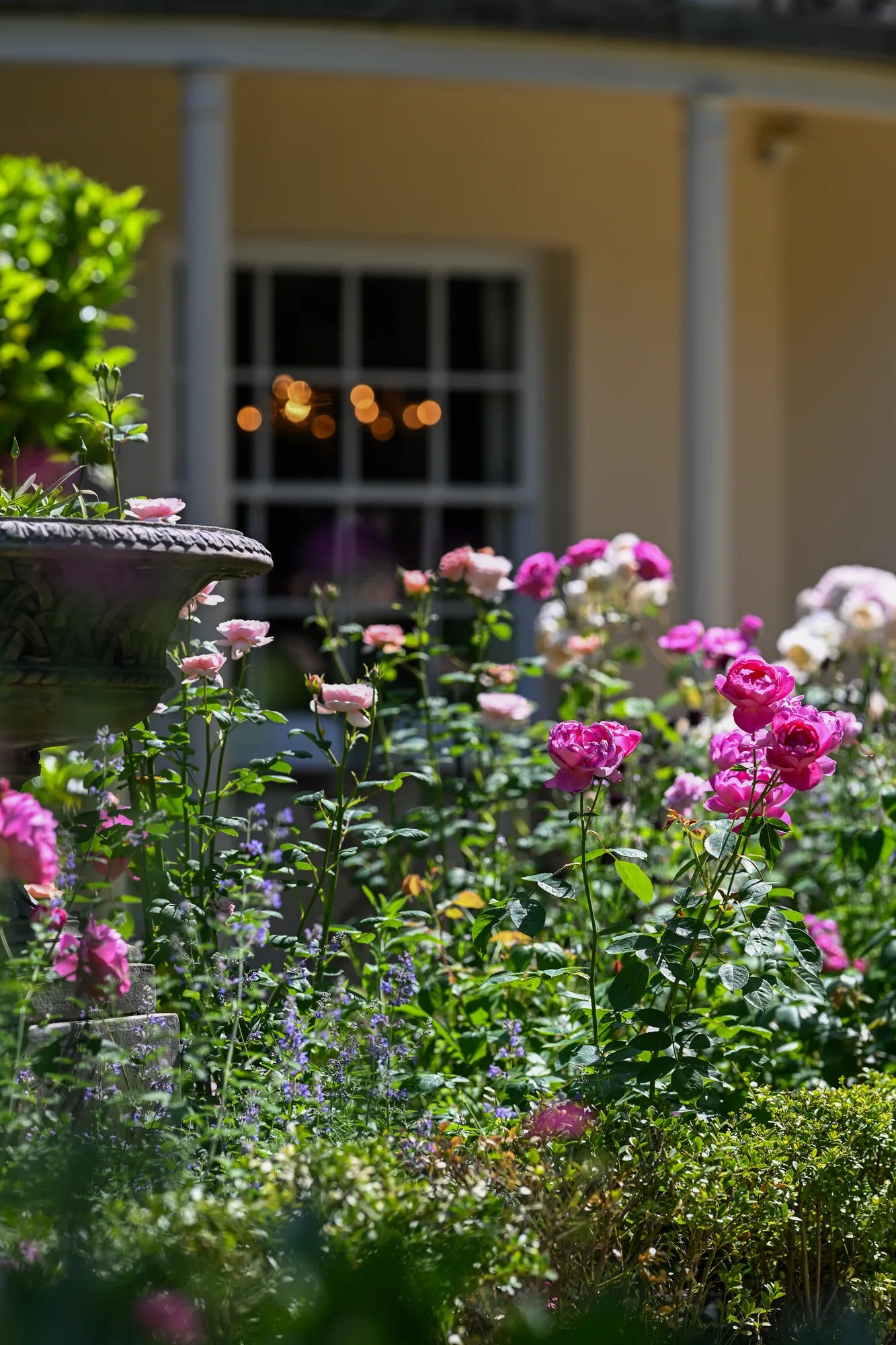The Perfumer's Garden Experience
